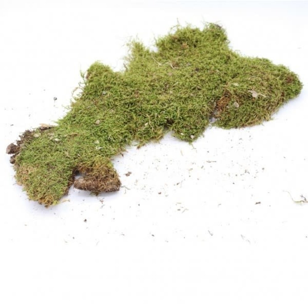 Herbimals Herbimals Mos Herbimals Herbimals Mos