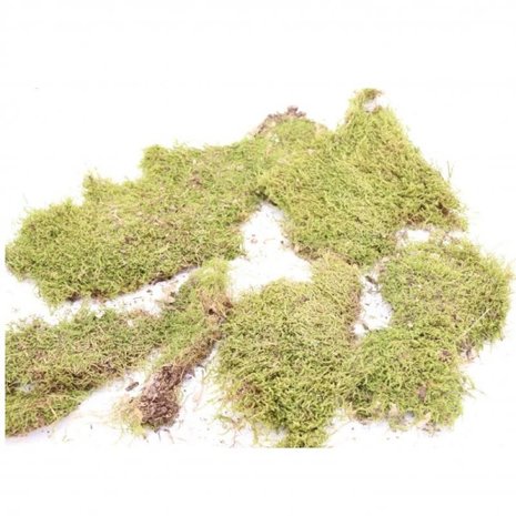 Herbimals Herbimals Mos Herbimals Herbimals Mos