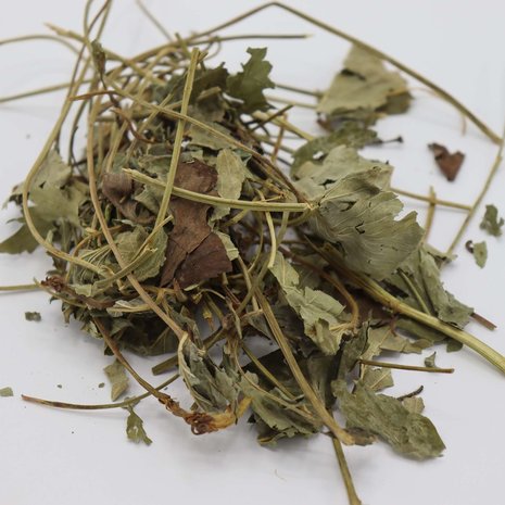 Herbimals Herbimals Aardbeiblad - grof Herbimals Herbimals Aardbeiblad - grof