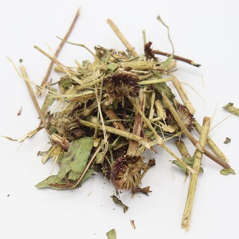 Herbimals Herbimals Rode zonnehoed - Echinacea - grof Herbimals Herbimals Rode zonnehoed - Echinacea - grof