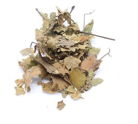 Herbimals Herbimals Walnootblad - heel Herbimals Herbimals Walnootblad - heel