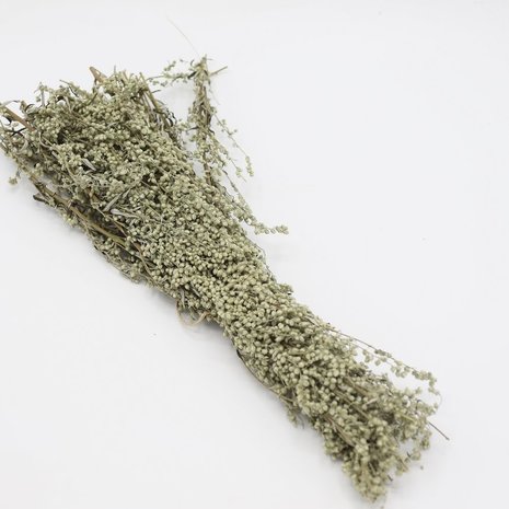 Herbimals Herbimals Bijvoet struikje- gedroogd - 1 stuk Herbimals Herbimals Bijvoet struikje- gedroogd - 1 stuk