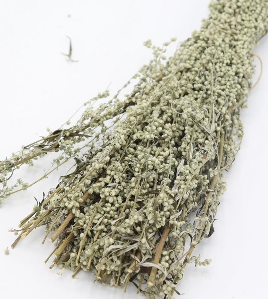 Herbimals Herbimals Bijvoet struikje- gedroogd - 1 stuk Herbimals Herbimals Bijvoet struikje- gedroogd - 1 stuk