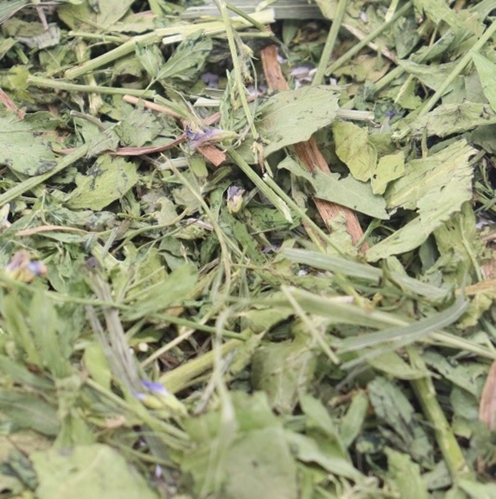 Herbimals Herbimals Luzerne-Paardenbloem-Gras Mix - grof Herbimals Herbimals Luzerne-Paardenbloem-Gras Mix - grof