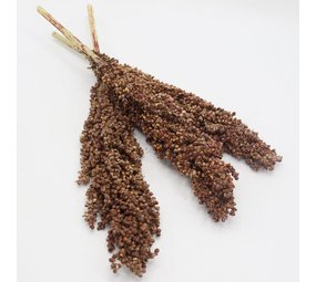 Herbimals Herbimals Dari kolf - 100 gram Herbimals Herbimals Dari kolf - 100 gram