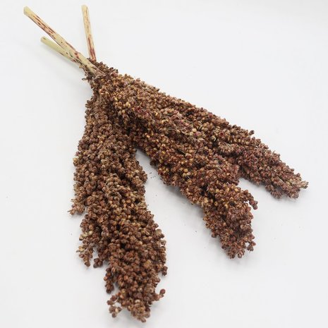 Herbimals Herbimals Dari kolf - 100 gram Herbimals Herbimals Dari kolf - 100 gram