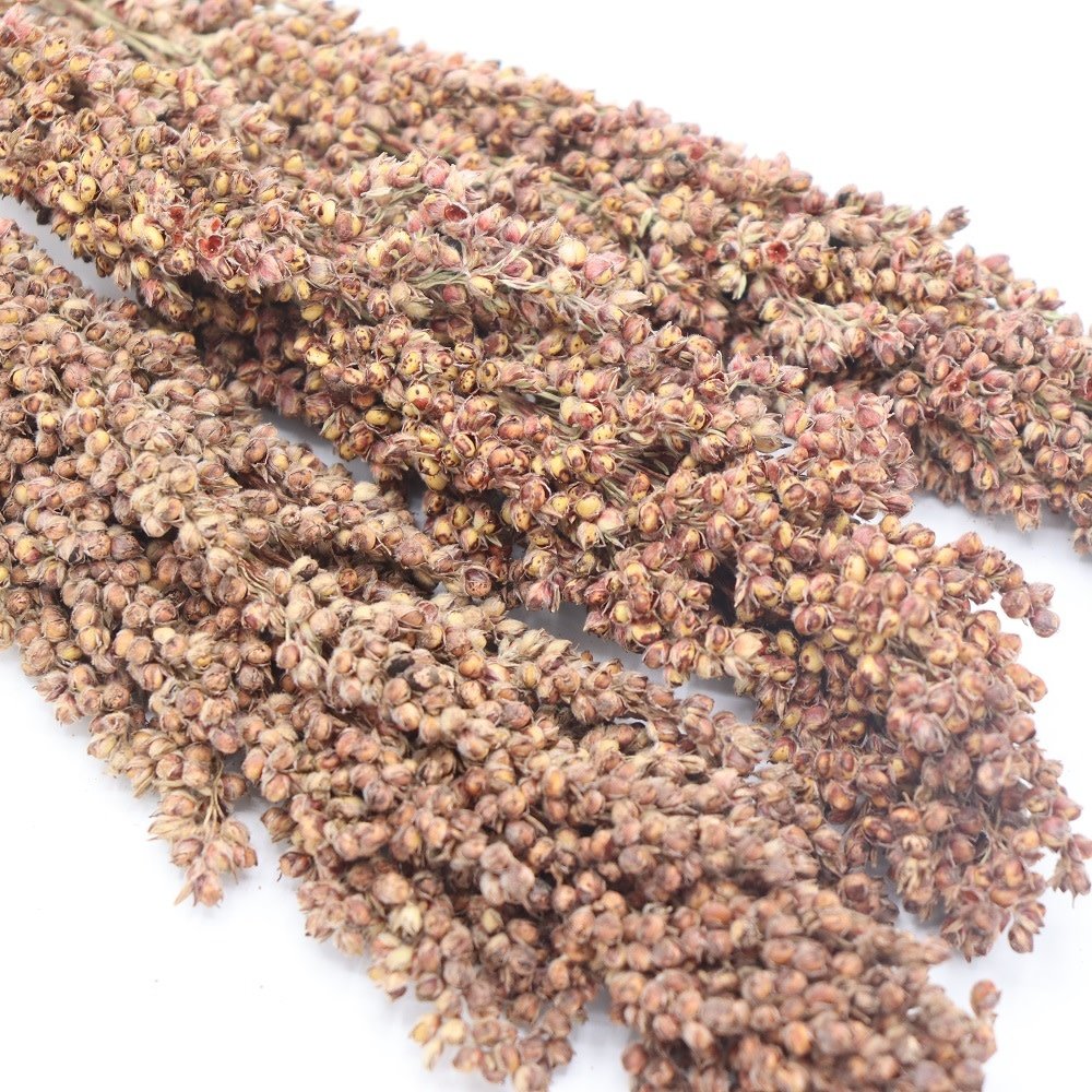 Herbimals Herbimals Dari kolf - 100 gram Herbimals Herbimals Dari kolf - 100 gram