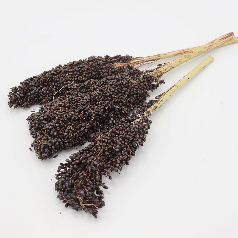 Herbimals Herbimals Sorghum zwart - 100 gram Herbimals Herbimals Sorghum zwart - 100 gram