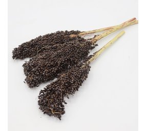 Herbimals Herbimals Sorghum zwart - 100 gram Herbimals Herbimals Sorghum zwart - 100 gram