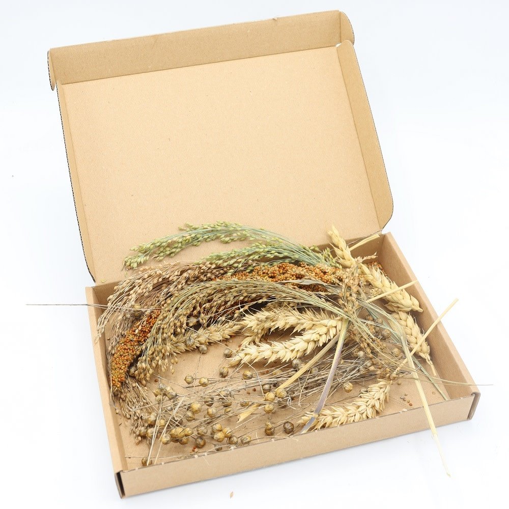 Herbimals Herbimals stengeldoosje - Hamster Herbimals Herbimals stengeldoosje - Hamster