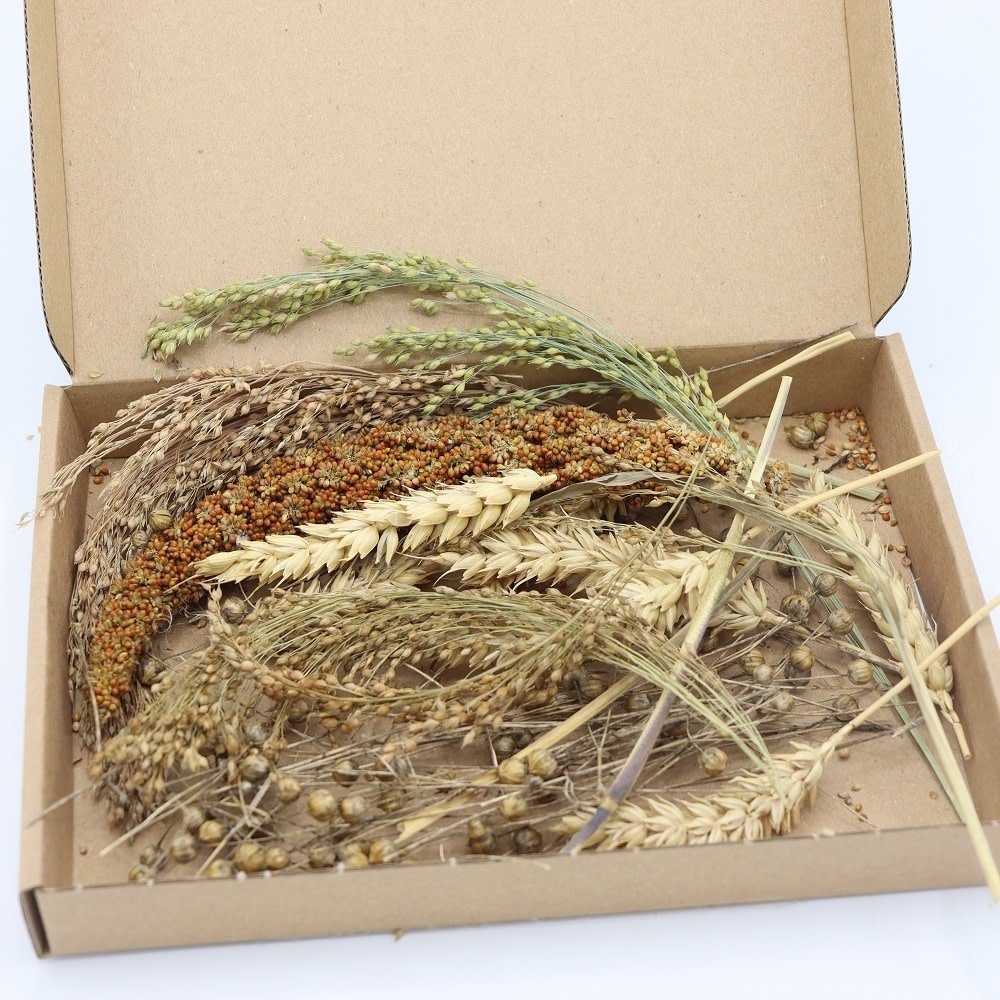 Herbimals Herbimals stengeldoosje - Hamster Herbimals Herbimals stengeldoosje - Hamster