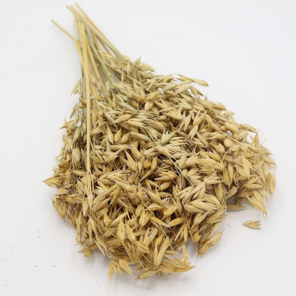 Herbimals Herbimals Haver Aren - 100 gram Herbimals Herbimals Haver Aren - 100 gram