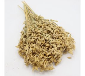 Herbimals Herbimals Haver Aren - 100 gram Herbimals Herbimals Haver Aren - 100 gram