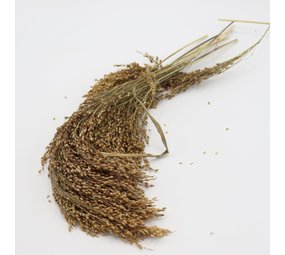 Herbimals Herbimals Pluimgierst Rood - 100 gram Herbimals Herbimals Pluimgierst Rood - 100 gram