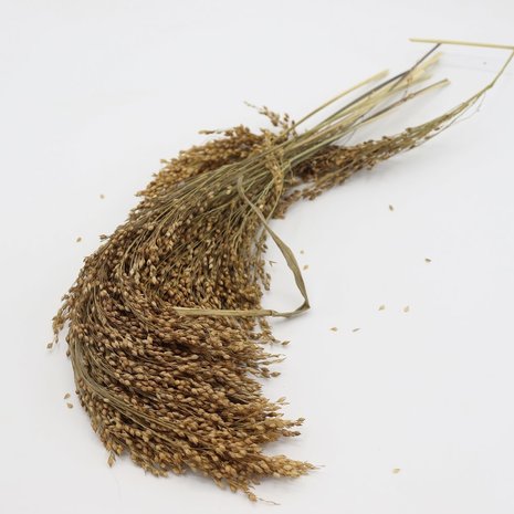 Herbimals Herbimals Pluimgierst Rood - 100 gram Herbimals Herbimals Pluimgierst Rood - 100 gram