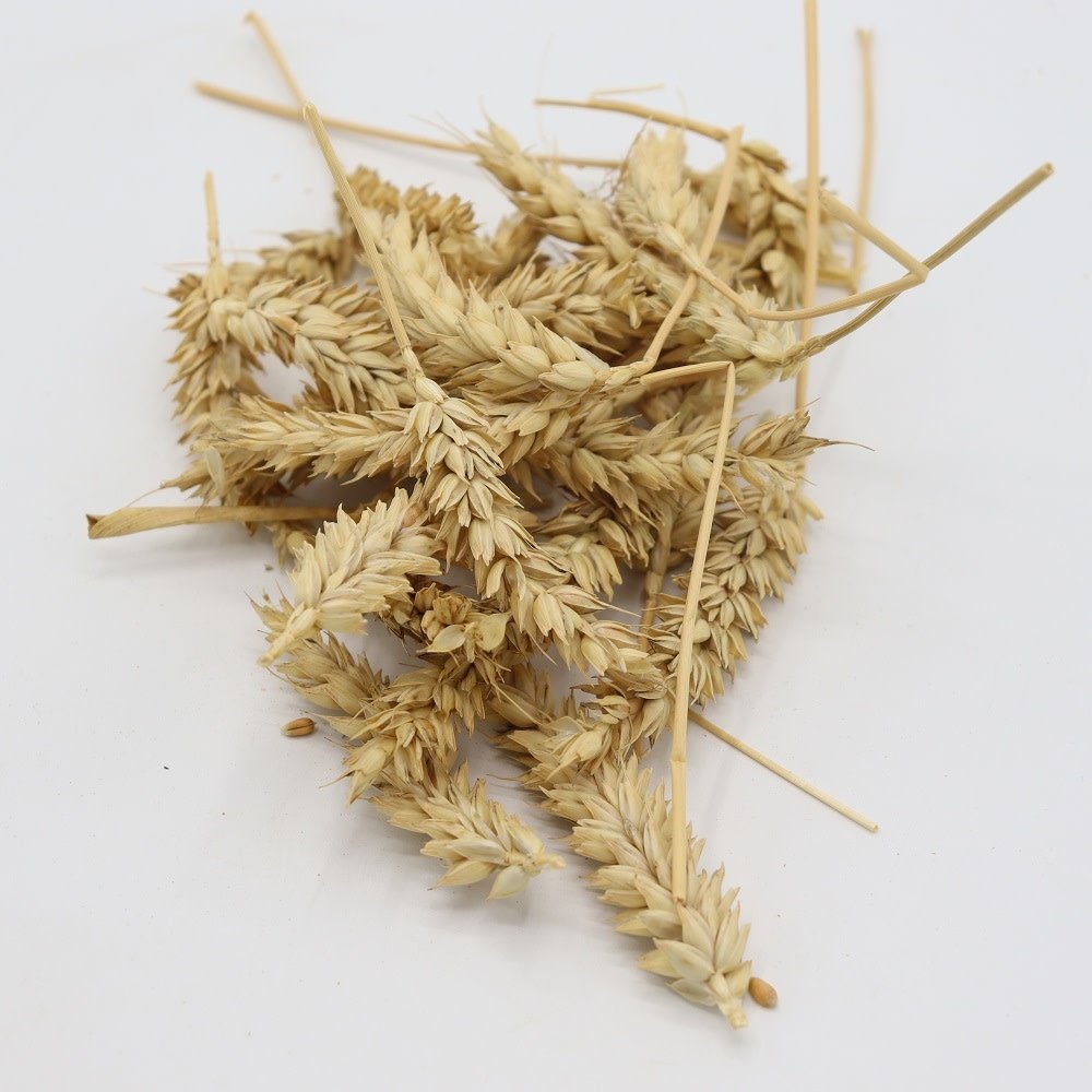 Herbimals Herbimals Tarwe aren Herbimals Herbimals Tarwe aren