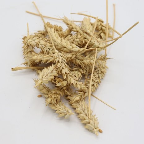 Herbimals Herbimals Tarwe aren Herbimals Herbimals Tarwe aren