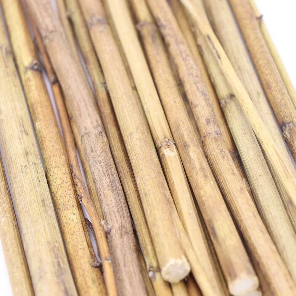 Herbimals Herbimals Aardpeerstengels 25 cm - 10 stuks Herbimals Herbimals Aardpeerstengels 25 cm - 10 stuks