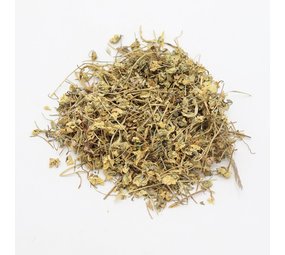 Herbimals Herbimals Driekleurig viooltje bloemen - Viola tricolor Herbimals Herbimals Driekleurig viooltje bloemen - Viola tricolor