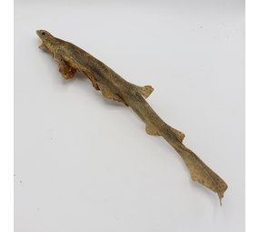 Bark-Bite Bark-Bite Fish - Hondshaai 35-50 cm - per stuk Bark-Bite Bark-Bite Fish - Hondshaai 35-50 cm - per stuk