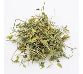 Herbimals Herbimals Peterselieplant - grof Herbimals Herbimals Peterselieplant - grof