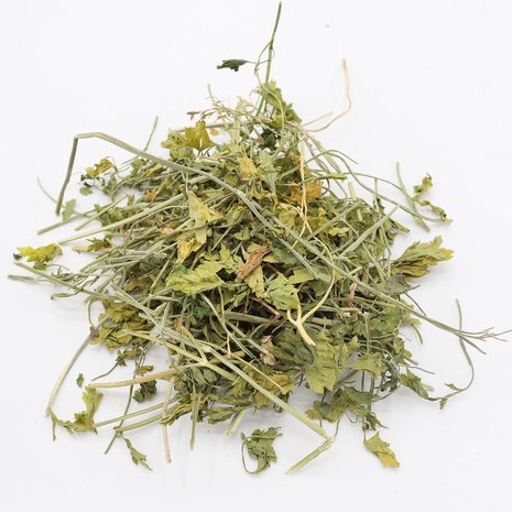 Herbimals Herbimals Peterselieplant - grof Herbimals Herbimals Peterselieplant - grof