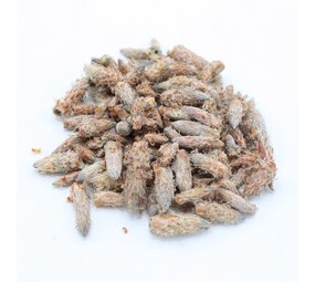 Herbimals Herbimals Dennenknoppen Herbimals Herbimals Dennenknoppen