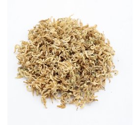 Herbimals Herbimals Dovenetelbloemen wit Herbimals Herbimals Dovenetelbloemen wit