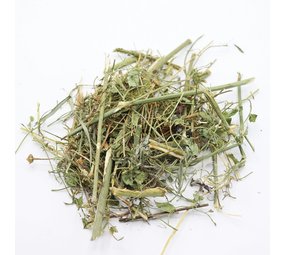 Herbimals Herbimals Venkelplant - grof Herbimals Herbimals Venkelplant - grof