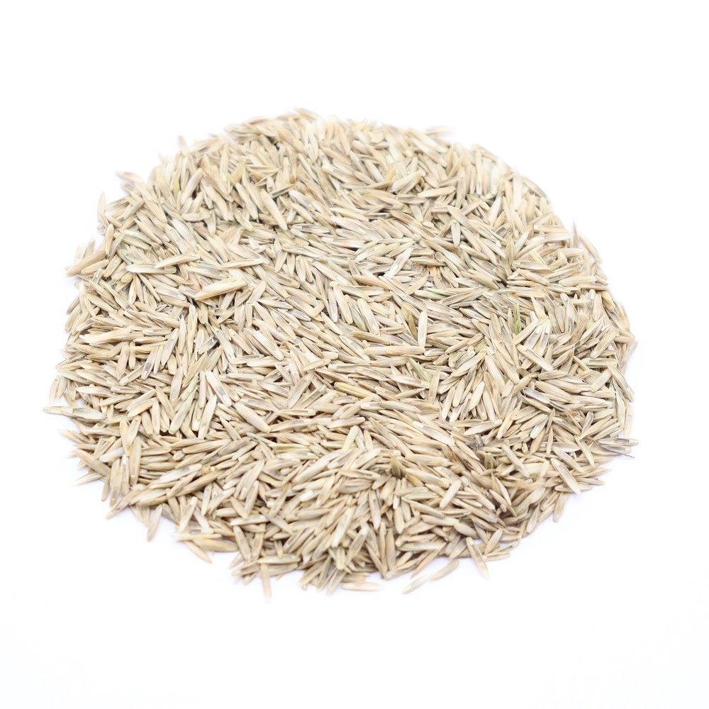 Herbimals Herbimals Engels raaigras graszaad