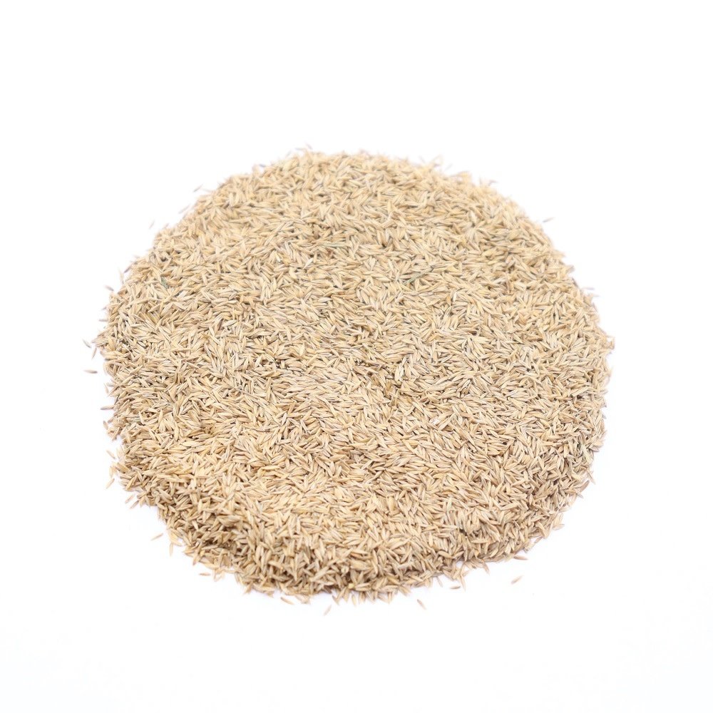 Herbimals Herbimals Smal beemdgras zaden - Poa pratensis subsp. angustifolia