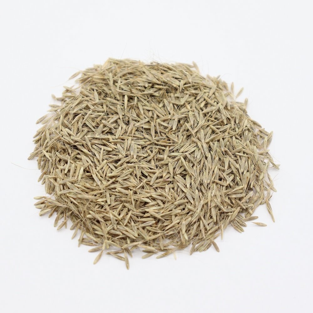 Herbimals Herbimals Reuzenzwenkgras zaden - Festuca gigantea