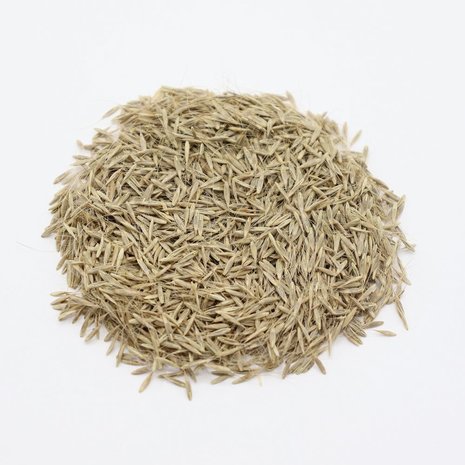 Herbimals Herbimals Reuzenzwenkgras zaden - Festuca gigantea