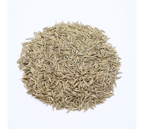 Herbimals Herbimals Rietzwenkgras zaden - Schedonorus arundinaceus Herbimals Herbimals Rietzwenkgras zaden - Schedonorus arundinaceus