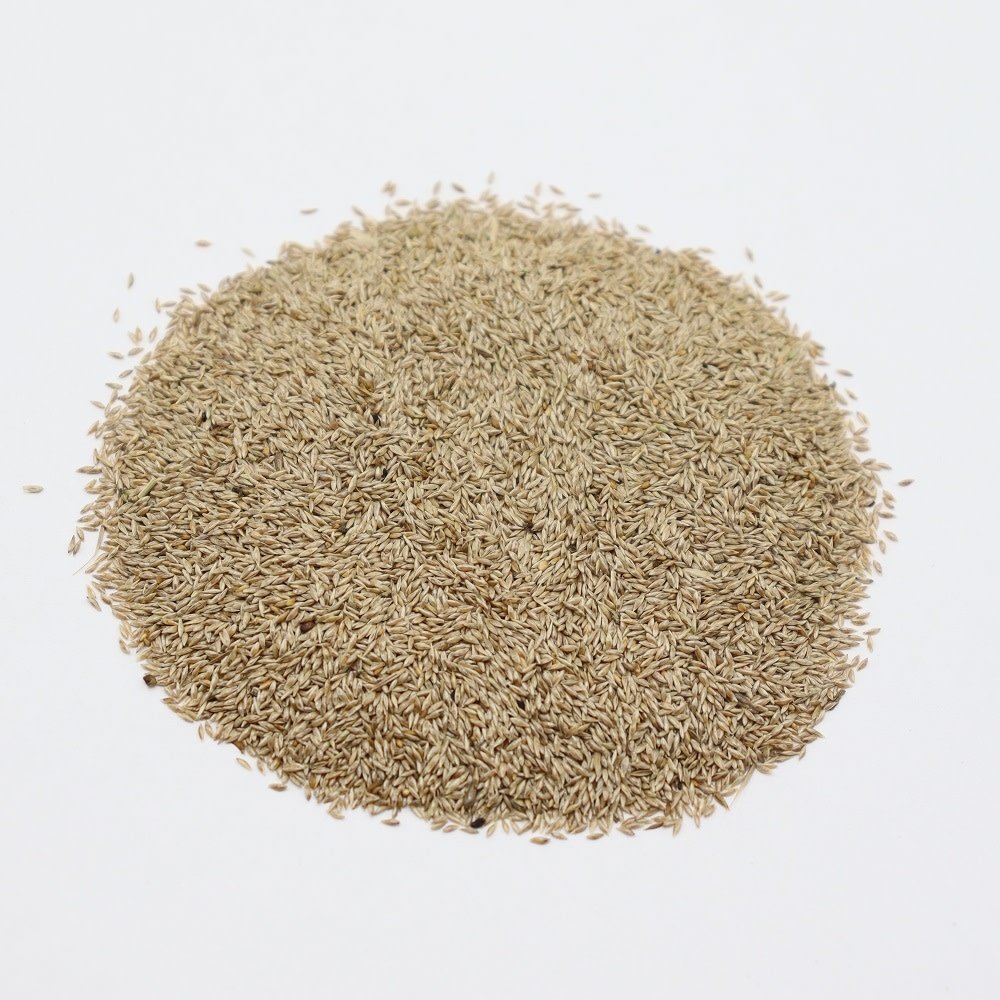 Herbimals Herbimals Gestreepte Witbol zaden - Holcus lanatus Herbimals Herbimals Gestreepte Witbol zaden - Holcus lanatus