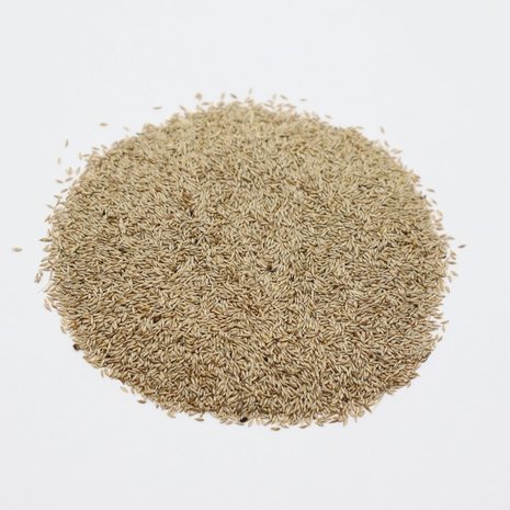 Herbimals Herbimals Gestreepte Witbol zaden - Holcus lanatus Herbimals Herbimals Gestreepte Witbol zaden - Holcus lanatus