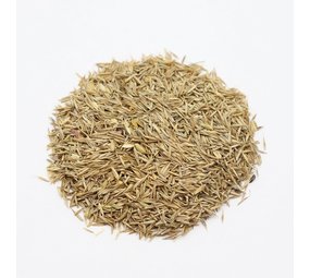 Herbimals Herbimals Rood zwenkgras zaden - Festuca rubra Herbimals Herbimals Rood zwenkgras zaden - Festuca rubra