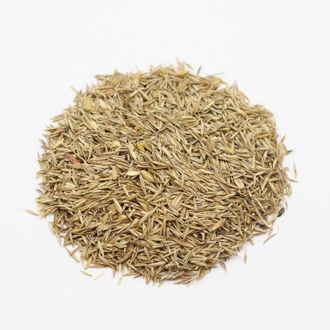 Herbimals Herbimals Rood zwenkgras zaden - Festuca rubra