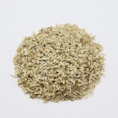 Herbimals Herbimals Grote Vossenstaart zaden - Alopecurus pratensis