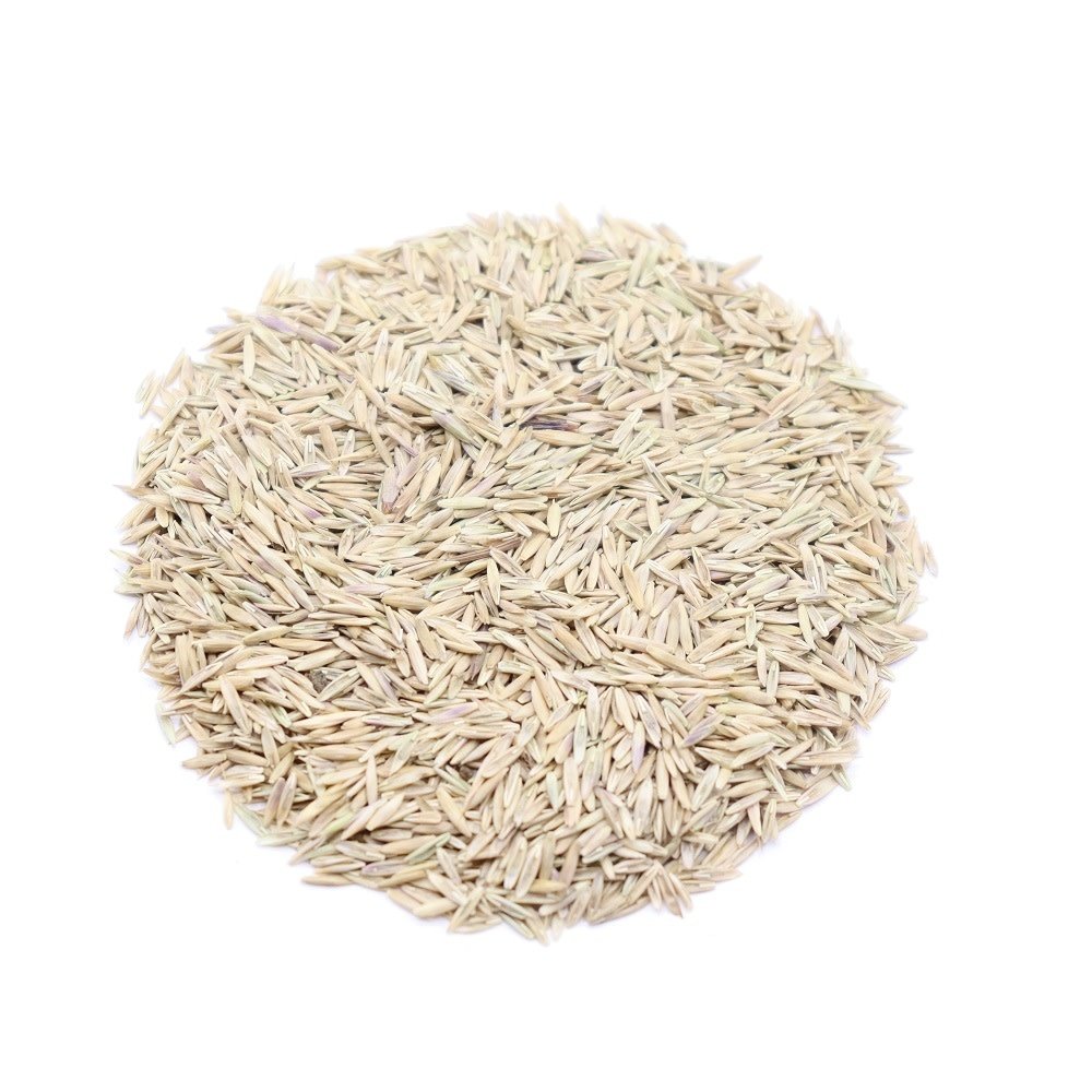 Herbimals Herbimals Beemdlangbloem zaden - Festuca pratensis Herbimals Herbimals Beemdlangbloem zaden - Festuca pratensis