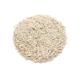 Herbimals Herbimals Beemdlangbloem zaden Herbimals Herbimals Beemdlangbloem zaden