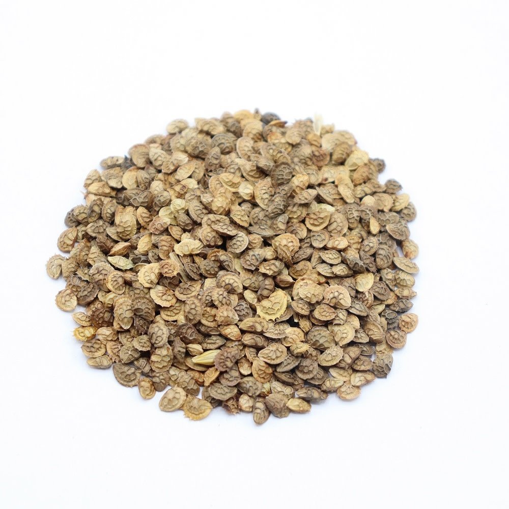 Herbimals Herbimals Esparcette zaden - Onobrychis viciifolia