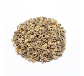 Herbimals Herbimals Esparcette zaden - Onobrychis viciifolia Herbimals Herbimals Esparcette zaden - Onobrychis viciifolia