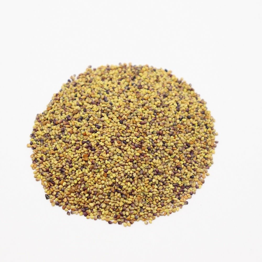 Herbimals Herbimals Rode klaver zaden - Trifolium pratense Herbimals Herbimals Rode klaver zaden - Trifolium pratense