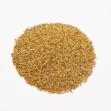 Herbimals Herbimals Luzernezaden - Medicago sativa Herbimals Herbimals Luzernezaden - Medicago sativa