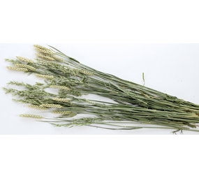 ESVE ESVE Pet Bouquet Haverland ESVE ESVE Pet Bouquet Haverland