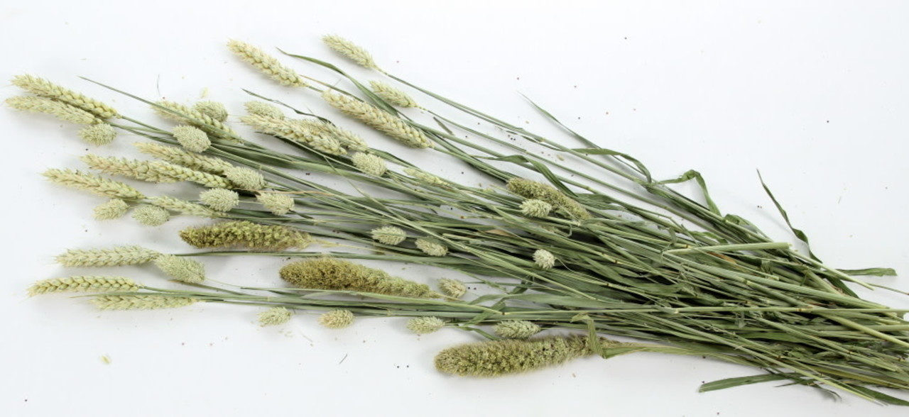 ESVE ESVE Pet Bouquet Knaagveld ESVE ESVE Pet Bouquet Knaagveld