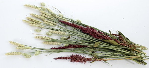 ESVE ESVE Pet Bouquet Knabbelstruik ESVE ESVE Pet Bouquet Knabbelstruik