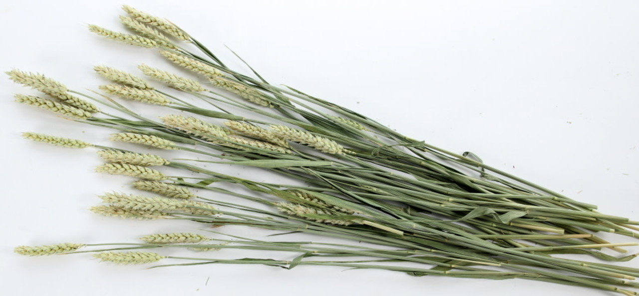 ESVE ESVE Pet Bouquet Tarweakker ESVE ESVE Pet Bouquet Tarweakker