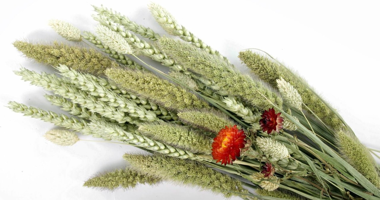 ESVE ESVE Pet Bouquet Koker ESVE ESVE Pet Bouquet Koker